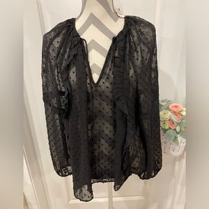 Express Sheer Top